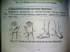 Прибор для компьютерной диагностики организма 