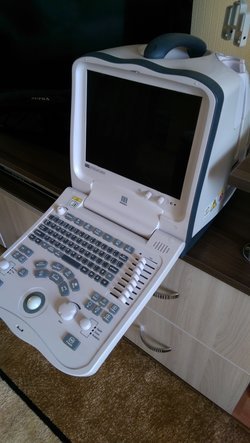Сдаётся в аренду портативный узи аппарат Миндрей DP6900