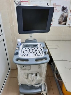 Аппарат УЗИ Mindray DC-N6