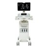 УЗ сканер Mylab X5 VET