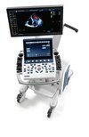 УЗИ GE Vivid S70