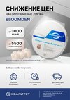 Циркониевые диски Bloomden