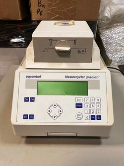 Пцр амплификатор Eppendorf Mastercycler Gradient