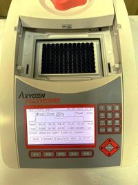 Амплификатор пцр градиентный Axygen MaxyGene