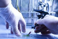 Лаборатория in vitro врт, эко для крс, мрс
