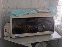 Анализатор автоматический ChemWell 2910