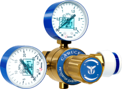 Кислородный сетевой регулятор CADUCEUS СКО-250