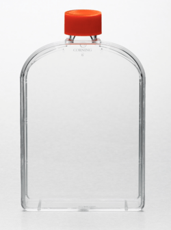 Колба для культивирования клеток 175 см² U-образной формы с угловым горлом и герметичной крышкой, 50 штук/упак. 431079, Corning