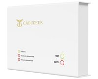 Устройство диспетчеризации кислородного газификатора CADUCEUS