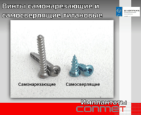 Винты самонарезающие и самосверлящие титановые