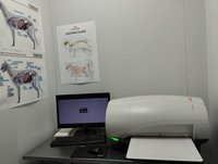 Ветеринарный рентгеновский аппарат Dongmun DIG-360 2,4 кВт