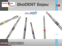 ökoDENT Боры (Германия)