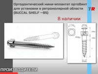 Ортодонтический мини-иплантат ортоВинт для установки в ретромолярной области
