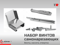 Набор винтов самонарезающих с отверткой и кассетой для фиксации мембран, костных блоков Endocarbon В Наличии!