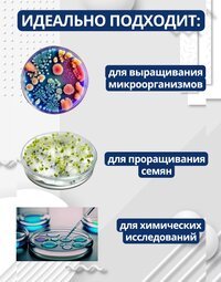 Чашки Петри пластиковые 90х15 мм, упаковка 10 шт.
