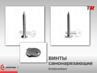 Винты самонарезающие шлиц крест для фиксации пластин, костных блоков (Endocarbon) BonesControl в Наличии