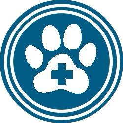 ООО Ветрайсис