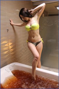 Установка для приготовления водного экстракта из засушенных или замороженных пантов марала - "Пант-Эра"