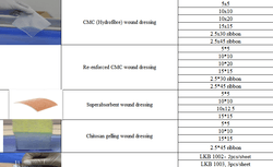Re-enforced CMC wound dressing