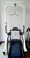 Беговая дорожка AMF 8612RP