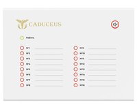 Терминал светодиодной индикации CADUCEUS SU-TE