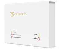 Устройство диспетчеризации кислородного газификатора CADUCEUS