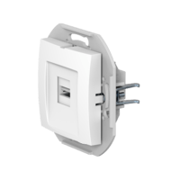 Розетка скрытой установки CADUCEUS ALING PRESTIGE с модулем Keystone USB 2.0 тип А-А, 250В~, механизм