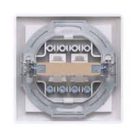 Розетка скрытой установки CADUCEUS ALING PRESTIGE, 2хRJ12 6P2C, двойная, телефонная