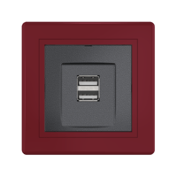 Розетка скрытой установки CADUCEUS ALING PRESTIGE двойная, USB, тип А, для зарядки устройств, 2,1А, 5В=, 250В~