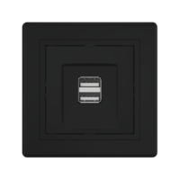 Розетка скрытой установки CADUCEUS ALING PRESTIGE двойная, USB, тип А, для зарядки устройств, 2,1А, 5В=, 250В~