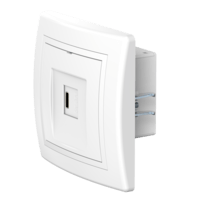 Розетка скрытой установки CADUCEUS ALING PRESTIGE USB, тип С, для зарядки 1-го устройства, 3А, 5В=, 250В~