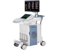 Аппарат УЗИ GE Voluson E10