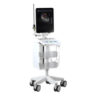 Ультразвуковая система BK Medical bk5000